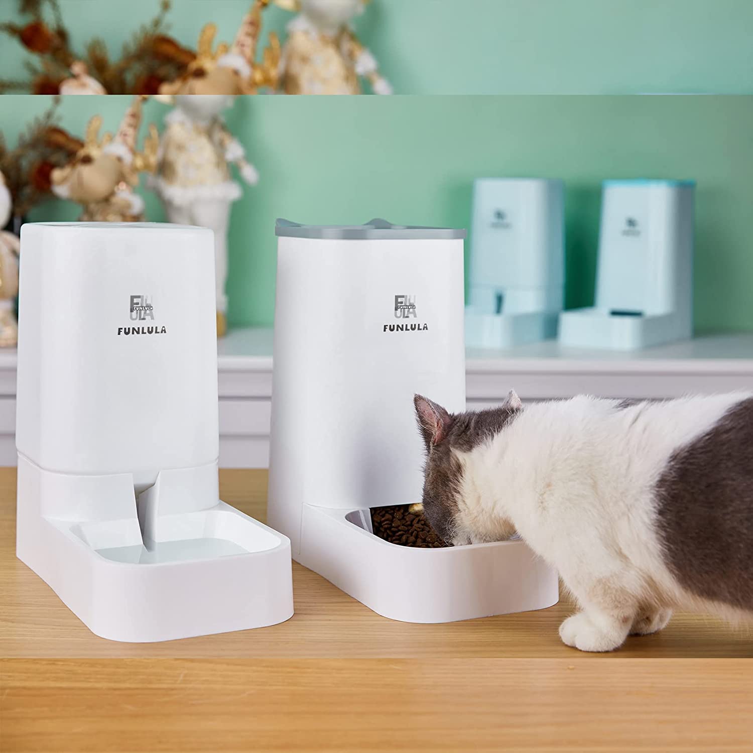 Automatic Cat Feeder and Water Dispenser